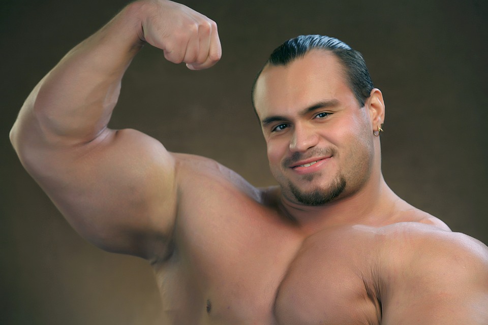 muscle